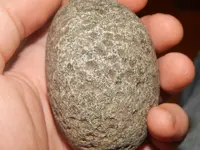 DSCN1412.webp