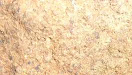 DSC00042.webp