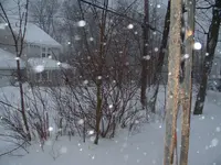 DSCF0007.webp