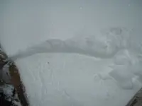 DSCF0009.webp