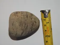 DSCN1422.webp