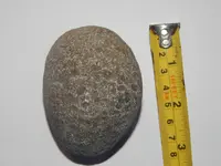 DSCN1423.webp