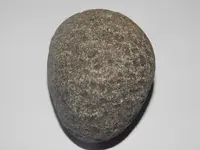 DSCN1407.webp