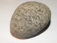 DSCN1409.webp