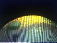 IMAG0308.webp IMAG0308.webp