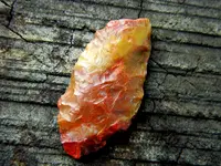 DSCN3708.webp