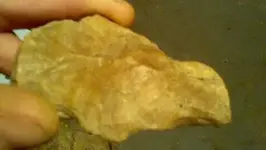 1454325013300.webp
