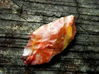 DSCN3713.webp