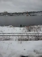 20160101_120747.webp