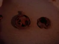 pocket watch.webp