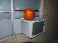 DSCF6526.webp