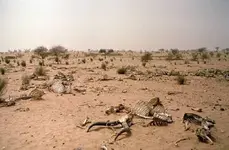 drought.webp