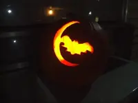 DSCF6531.webp