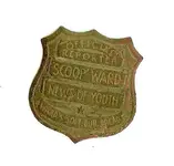 Scoop.webp