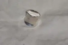 beach find.webp