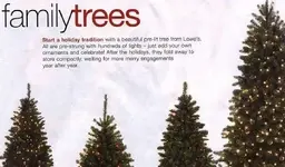!!lowes%20(2).webp