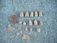 11 16 07 Finds.webp