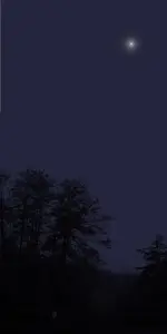 star right.webp