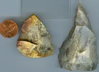 Arrowheads Friday 4.webp