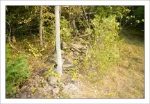 Stone-wall.webp