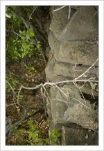 rock-wall-vertical-face.webp