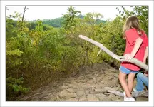 Rock-Pile-view-point.webp