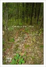Fifth-rock-pile.webp