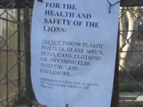 Udays Lions 005.webp