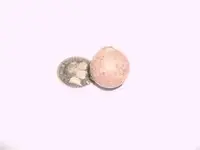 tn_HPIM1112.webp