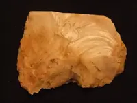 DSCF6847.webp