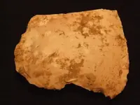DSCF6848.webp