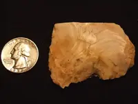 DSCF6850.webp