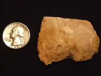 DSCF6854.webp
