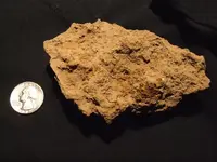 DSCF6856.webp