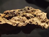 DSCF6857.webp