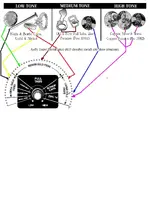 Mode_Tone Signals 101.webp