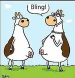 bling.webp