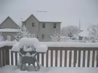 snow 029.webp