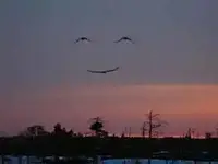 Happy face.webp