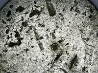 Thu Jan 07 18-34-59.webp