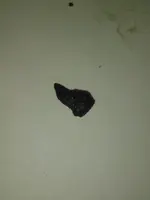 KIMG0118.webp KIMG0118.webp