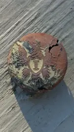 CW button front.webp