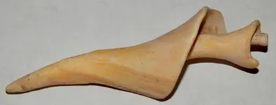 DSCN1699.webp