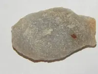 DSCN1702.webp