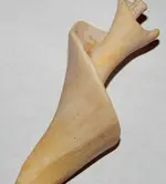 DSCN1704.webp