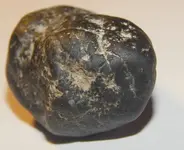 DSCN1497.webp