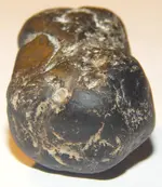 DSCN1498.webp