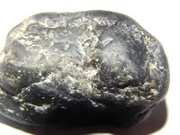 DSCN1499.webp