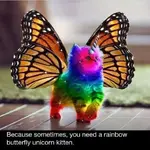 rainbowbutterflyunicornkitten.webp