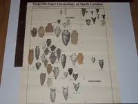 DSCN1974.webp